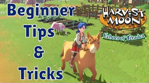 How to survive the early game in Harvest Moon Echoes of Teradea — EliTheGaymer